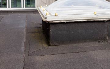 disadvantages of Nether Kinmundy flat roofs